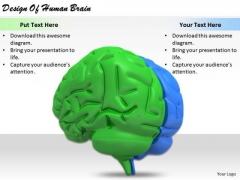Stock Photo Business Strategy Review Design Of Human Brain Images Stock Photo Business Strategy Review Design Of Human Brain Images