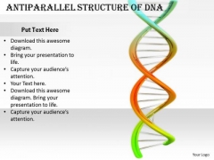 Stock Photo Business Unit Strategy Antiparallel Structure Of Dna Pictures Images Stock Photo Business Unit Strategy Antiparallel Structure Of Dna Pictures Images