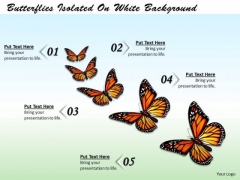 Stock Photo Butterflies Isolated On White Background Ppt Template Stock Photo Butterflies Isolated On White Background Ppt Template