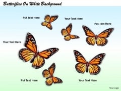 Stock Photo Butterflies On White Background PowerPoint Template