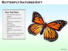 Stock Photo Butterfly Natures Gift PowerPoint Template Stock Photo Butterfly Natures Gift PowerPoint Template