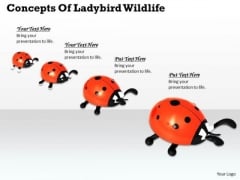 Stock Photo Concepts Of Ladybird Wildlife PowerPoint Template Stock Photo Concepts Of Ladybird Wildlife PowerPoint Template