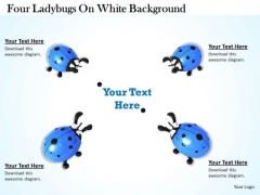 Stock Photo Four Ladybugs On White Background PowerPoint Template Stock Photo Four Ladybugs On White Background PowerPoint Template