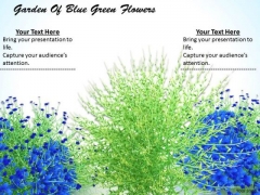 Stock Photo Garden Of Blue Green Flowers Ppt Template Stock Photo Garden Of Blue Green Flowers Ppt Template