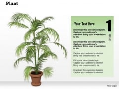 Stock Photo Graphics Of Vase With Green Plant PowerPoint Slide Stock Photo Graphics Of Vase With Green Plant PowerPoint Slide