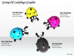 Stock Photo Group Of Ladybugs Graphic PowerPoint Template