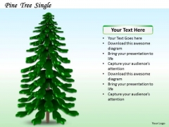 Stock Photo Illustration Of Pine Tree PowerPoint Slide Stock Photo Illustration Of Pine Tree PowerPoint Slide