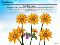 Stock Photo Illustration Of Sunflowers For Nature Pwerpoint Slide Stock Photo Illustration Of Sunflowers For Nature Pwerpoint Slide