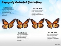 Stock Photo Image Of Colorful Butterflies Ppt Template Stock Photo Image Of Colorful Butterflies Ppt Template