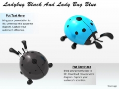 Stock Photo Lady Bug Black And Lady Bug Blue PowerPoint Slide Stock Photo Lady Bug Black And Lady Bug Blue PowerPoint Slide