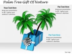 Stock Photo Marketing Concepts Palm Tree Gift Of Nature Business Pictures Images Stock Photo Marketing Concepts Palm Tree Gift Of Nature Business Pictures Images