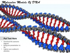 Stock Photo Molecular Models Of Dna PowerPoint Template Stock Photo Molecular Models Of Dna PowerPoint Template