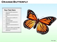 Stock Photo Orange Butterfly On Blue Background PowerPoint Slide Stock Photo Orange Butterfly On Blue Background PowerPoint Slide