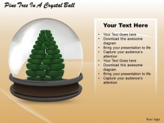 Stock Photo Pine Tree In A Crystal Ball PowerPoint Slide Stock Photo Pine Tree In A Crystal Ball PowerPoint Slide