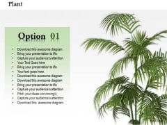 Stock Photo Plant Trees For Environment PowerPoint Slide