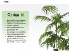 Stock Photo Plant Trees For Environment PowerPoint Slide Stock Photo Plant Trees For Environment PowerPoint Slide
