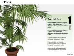 Stock Photo Plant Trees Save Earth Conceptual Image PowerPoint Slide Stock Photo Plant Trees Save Earth Conceptual Image PowerPoint Slide