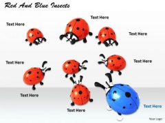 Stock Photo Red And Blue Insects PowerPoint Template Stock Photo Red And Blue Insects PowerPoint Template