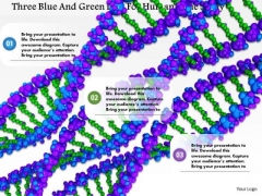 Stock Photo Three Blue And Green Dna For Human Gene Study PowerPoint Slide