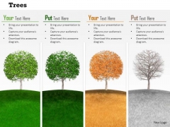 Stock Photo Trees Depicting Four Seasons Pwerpoint Slide