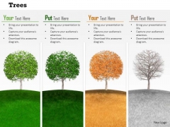 Stock Photo Trees Depicting Four Seasons Pwerpoint Slide Stock Photo Trees Depicting Four Seasons Pwerpoint Slide