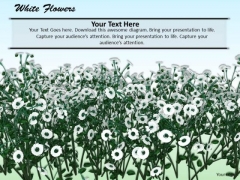 Stock Photo White Flowers Nature Background PowerPoint Slide Stock Photo White Flowers Nature Background PowerPoint Slide