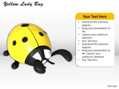 Stock Photo Yellow Lady Bug Insect PowerPoint Slide Stock Photo Yellow Lady Bug Insect PowerPoint Slide