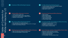 Table Of Contents For White Hat Hacking Ppt Layouts Ideas PDF Table Of Contents For White Hat Hacking Ppt Layouts Ideas PDF