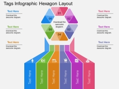Tags Infographic Hexagon Layout Powerpoint Templates