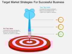 Target Market Strategies For Successful Business Powerpoint Template Target Market Strategies For Successful Business Powerpoint Template
