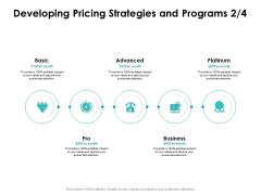 Target Market Strategy Developing Pricing Strategies And Programs Basic Ppt Infographics Infographics PDF