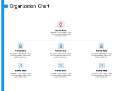 Target Persona Organization Chart Ppt Visual Aids Files PDF