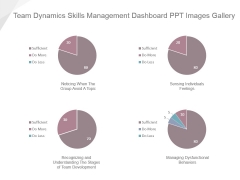 Team Dynamics Skills Management Dashboard Ppt Images Gallery Team Dynamics Skills Management Dashboard Ppt Images Gallery