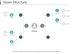 Team Structure Ppt PowerPoint Presentation Icon Design Templates Team Structure Ppt PowerPoint Presentation Icon Design Templates