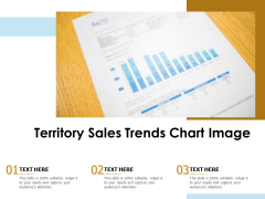 Territory Sales Trends Chart Image Ppt PowerPoint Presentation Visual Aids Infographic Template PDF