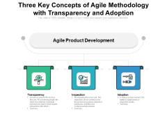 Three Key Concepts Of Agile Methodology With Transparency And Adoption Ppt PowerPoint Presentation Layouts Gallery PDF