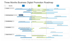 Three Months Business Digital Promotion Roadmap Summary