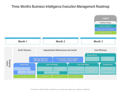 Three Months Business Intelligence Execution Management Roadmap Microsoft
