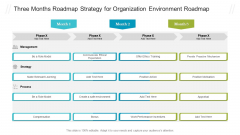 Three Months Roadmap Strategy For Organization Environment Roadmap Graphics PDF
