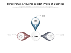Three Petals Showing Budget Types Of Business Ppt PowerPoint Presentation Visual Aids Outline PDF Three Petals Showing Budget Types Of Business Ppt PowerPoint Presentation Visual Aids Outline PDF