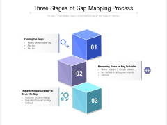 Three Stages Of Gap Mapping Process Ppt PowerPoint Presentation Pictures Example Topics PDF
