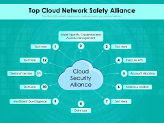 Top Cloud Network Safety Alliance Ppt PowerPoint Presentation Gallery File Formats PDF Top Cloud Network Safety Alliance Ppt PowerPoint Presentation Gallery File Formats PDF