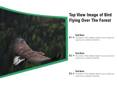 Top View Image Of Bird Flying Over The Forest Ppt PowerPoint Presentation Gallery Example PDF Top View Image Of Bird Flying Over The Forest Ppt PowerPoint Presentation Gallery Example PDF