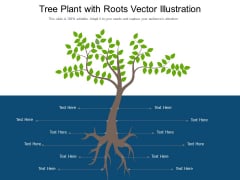 Tree Plant With Roots Vector Illustration Ppt PowerPoint Presentation Gallery Slide Download PDF Tree Plant With Roots Vector Illustration Ppt PowerPoint Presentation Gallery Slide Download PDF