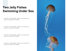Two Jelly Fishes Swimming Under Sea Ppt PowerPoint Presentation Professional Portfolio Two Jelly Fishes Swimming Under Sea Ppt PowerPoint Presentation Professional Portfolio
