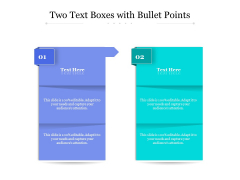 Two Text Boxes With Bullet Points Ppt PowerPoint Presentation Pictures Design Ideas PDF Two Text Boxes With Bullet Points Ppt PowerPoint Presentation Pictures Design Ideas PDF
