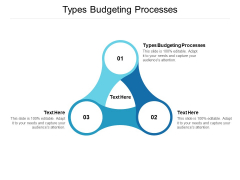 Types Budgeting Processes Ppt PowerPoint Presentation Diagram Ppt Cpb