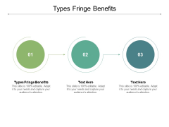 Types Fringe Benefits Ppt PowerPoint Presentation Infographic Template Shapes Cpb