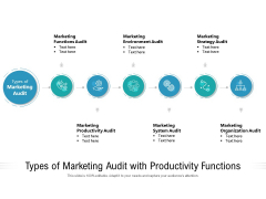 Types Of Marketing Audit With Productivity Functions Ppt PowerPoint Presentation File Template PDF
