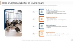 Various Agile Methodologies Roles And Responsibilities Of Crystal Team Ppt Portfolio Skills PDF